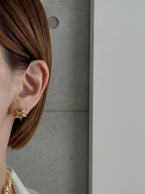 ✧ NEW ✧ star pierce/earring(予約商品)